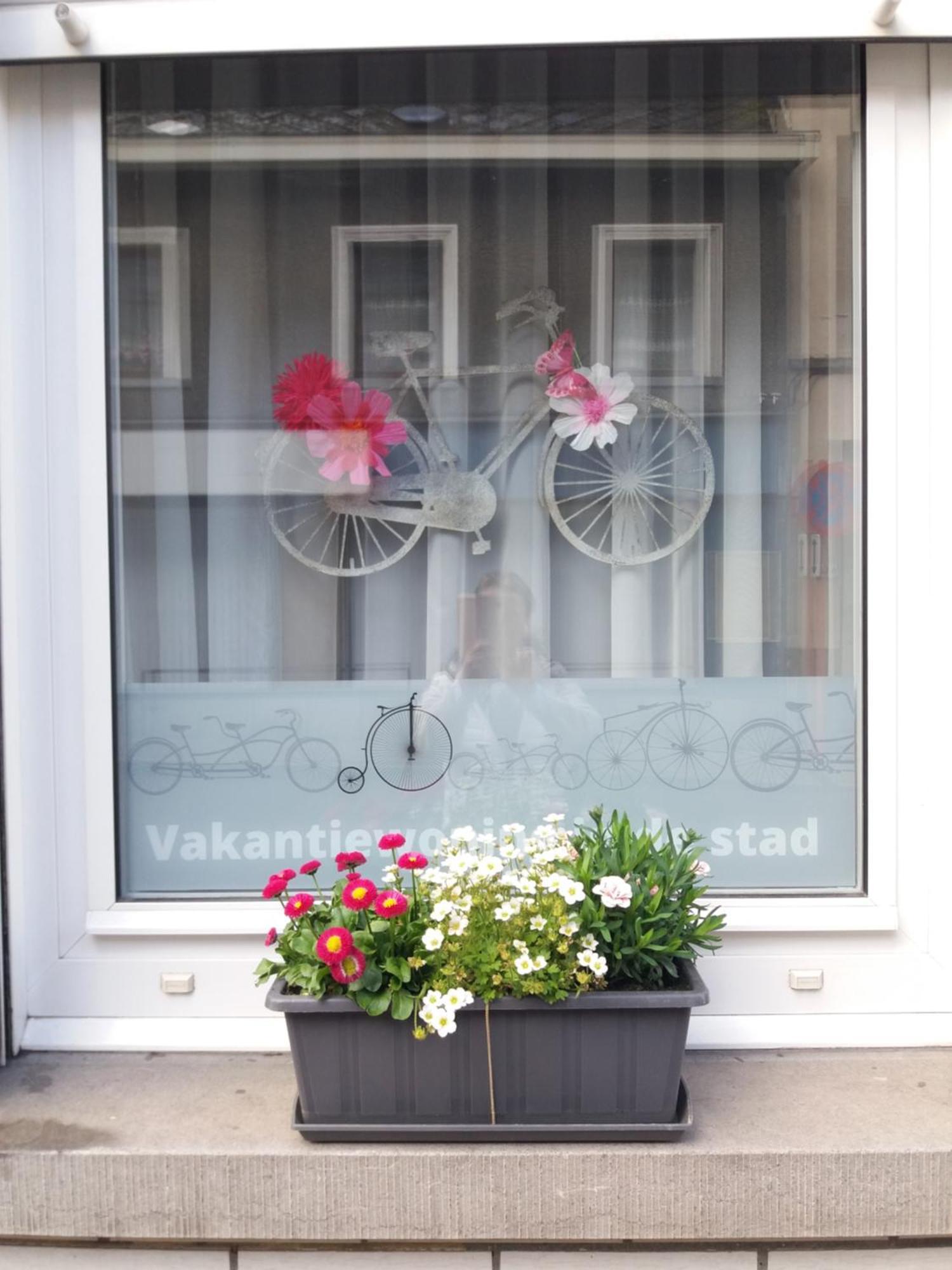 Velocipede Oudenaarde Vakantieverblijf 6 Pers (Adults Only) Екстериор снимка