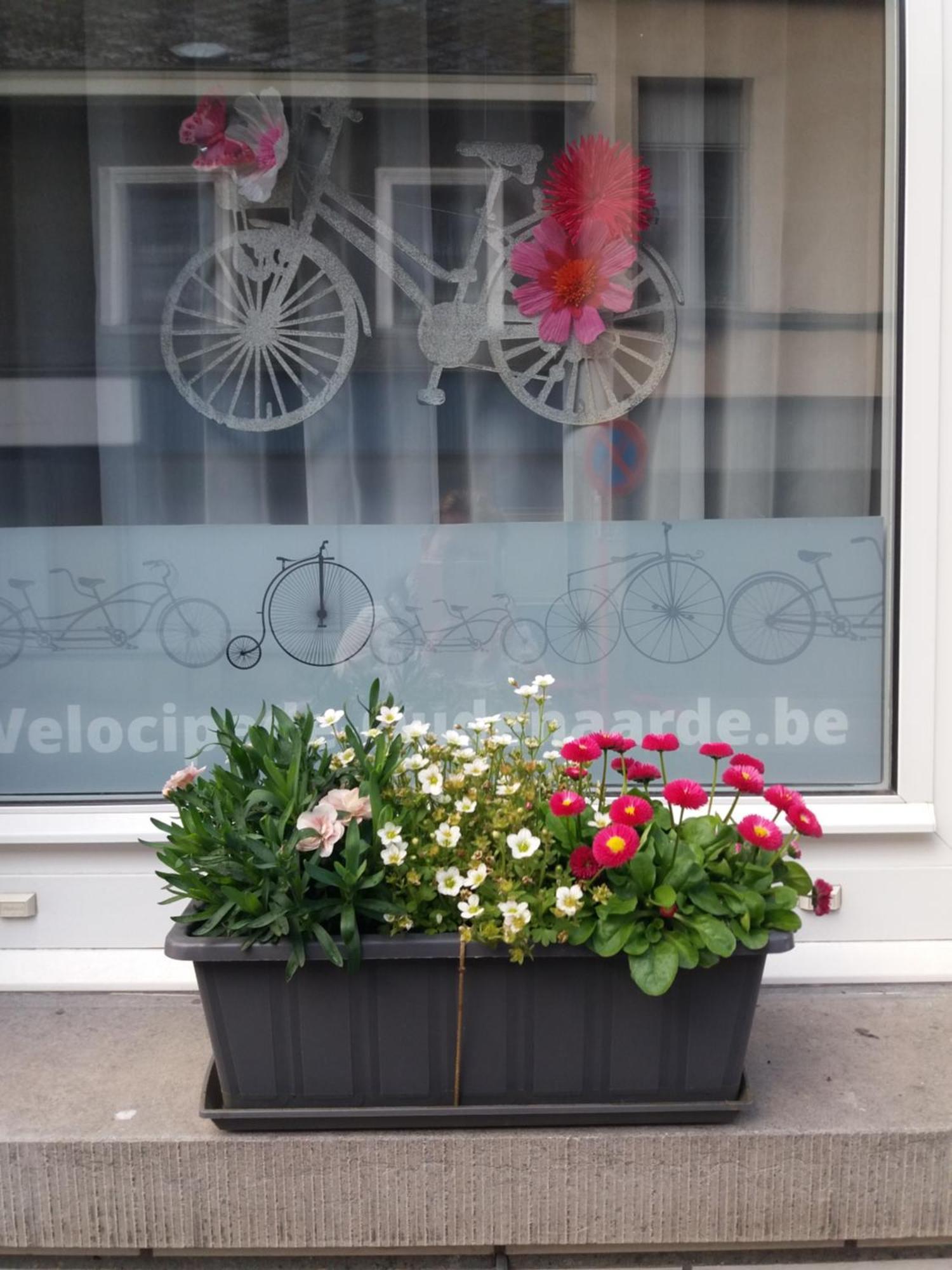 Velocipede Oudenaarde Vakantieverblijf 6 Pers (Adults Only) Екстериор снимка