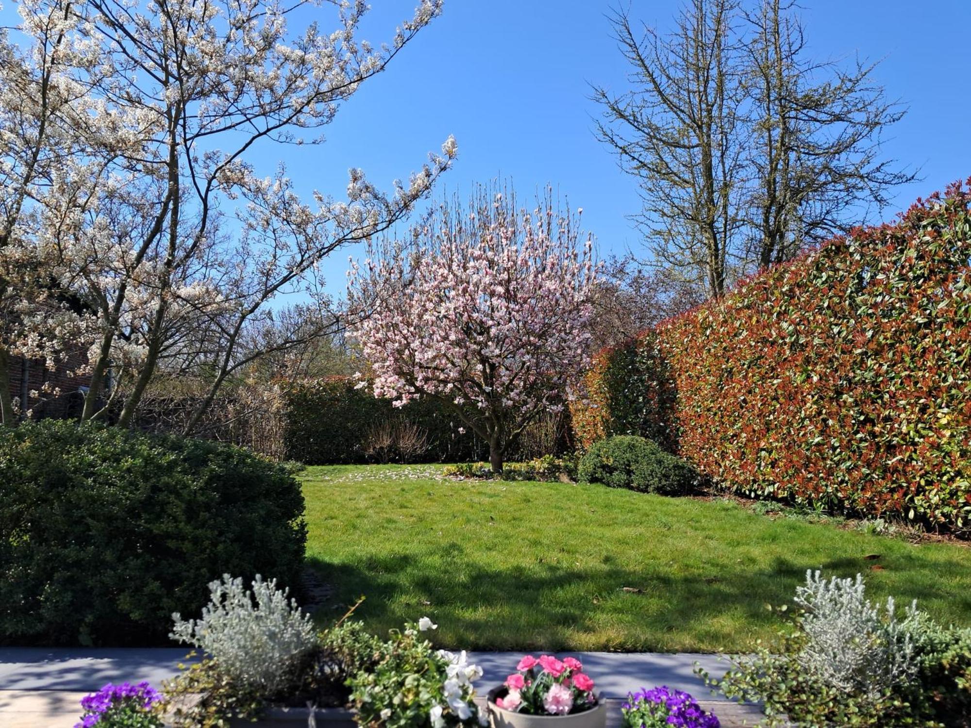Velocipede Oudenaarde Vakantieverblijf 6 Pers (Adults Only) Екстериор снимка